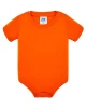 TSRB BODY OR 6M
