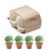 Zestaw do uprawy w kartonie - CRESS (MO6886-13)