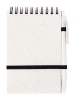 Fanny notes - naturalny (AP733360-00)