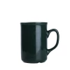 Kubek Santa 220ml ciemnozielony/ciemnozielony (M540)