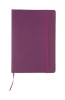 Cilux notes - purpura (AP791753-13)