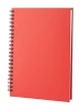 Gulliver notes - czerwony (AP791047-05)