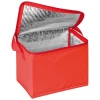 Torba termiczna na 6 puszek 0,5 l - czerwony - (GM-67104-05)