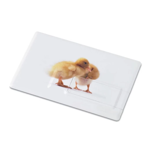 Pendrive 4GB - MEMORAMA (MO1059a-06-4GB)