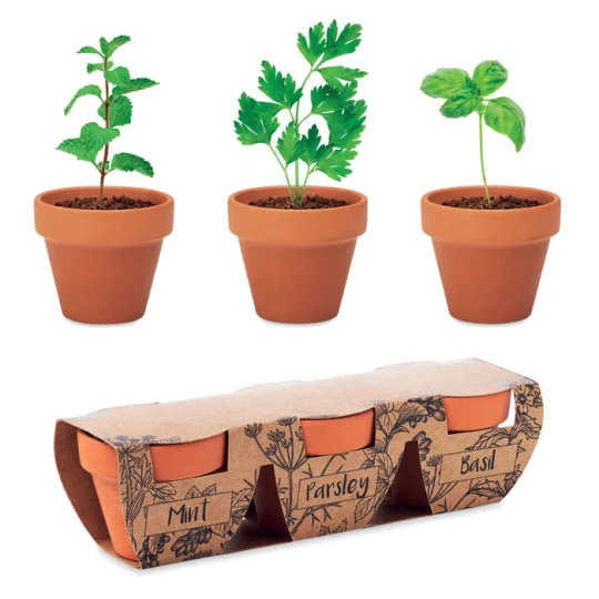Zestaw 3 doniczek z terakoty - FLOWERPOT (MO6145-40)