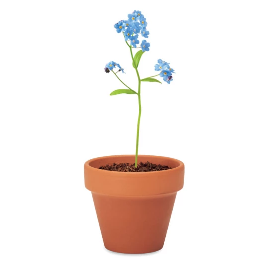 Doniczka, niezapominajka - FORGET ME NOT (MO6146-40)