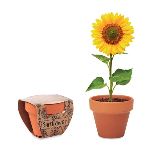 Doniczka, słonecznik - SUNFLOWER (MO6147-40)