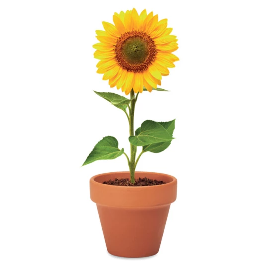 Doniczka, słonecznik - SUNFLOWER (MO6147-40)