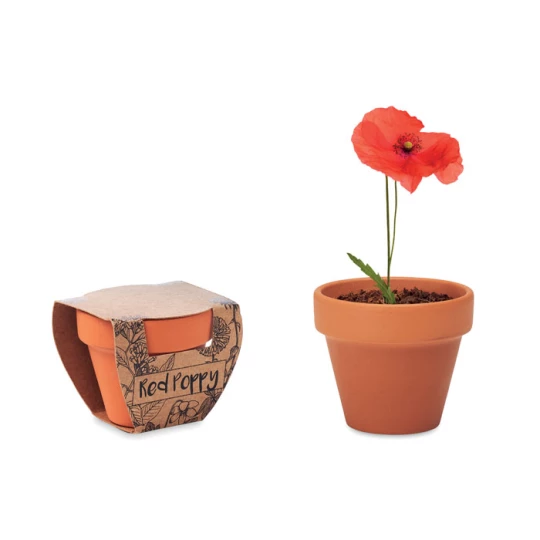 Doniczka, mak - RED POPPY (MO6148-40)