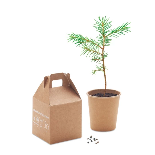 Nasiona sosny, torf, doniczka - GROWTREE™ (MO6228-13)