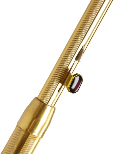 Parasol automatyczny (V4158-24)