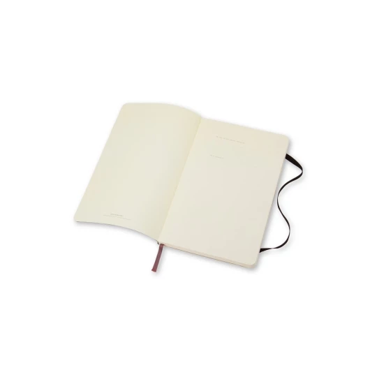 MOLESKINE Notatnik ok. A5 (VM303-03)