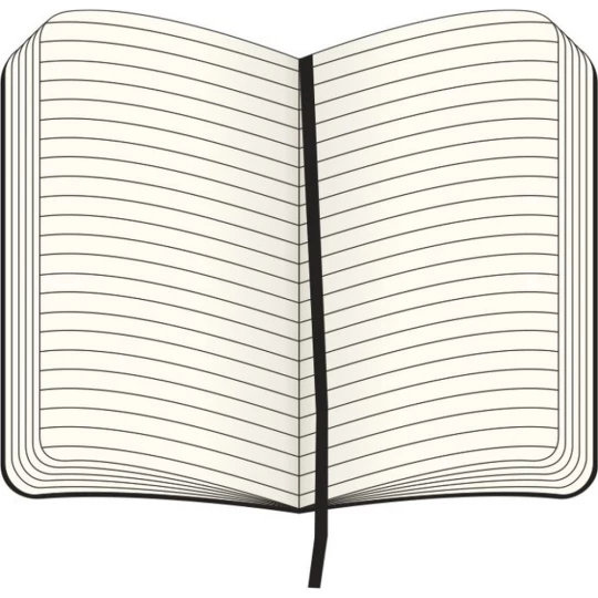 MOLESKINE Notatnik ok. A4 (VM401-03)