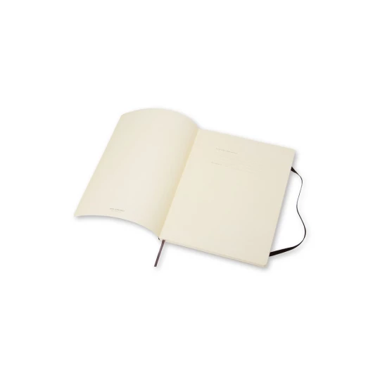 MOLESKINE Notatnik ok. A4 (VM402-03)