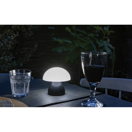 Lampka na biurko Luming, plastik z recyklingu (P513.741)