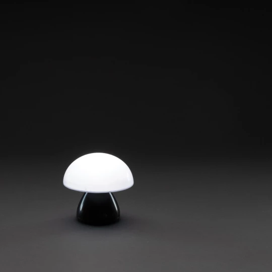 Lampka na biurko Luming, plastik z recyklingu (P513.741)