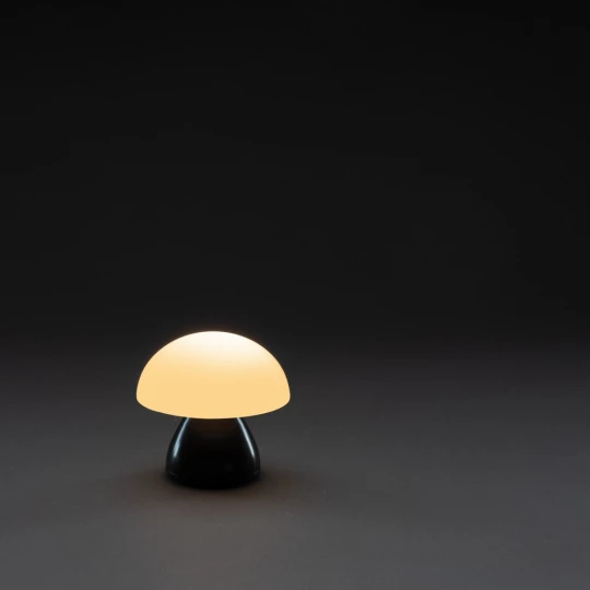 Lampka na biurko Luming, plastik z recyklingu (P513.741)