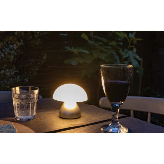 Lampka na biurko Luming, plastik z recyklingu (P513.742)