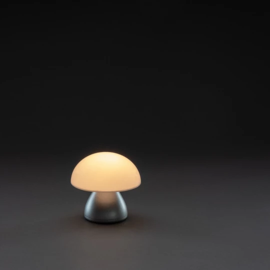 Lampka na biurko Luming, plastik z recyklingu (P513.742)