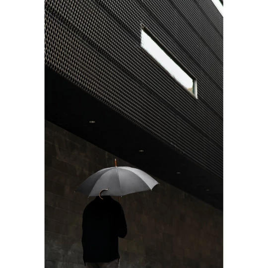Parasol 23