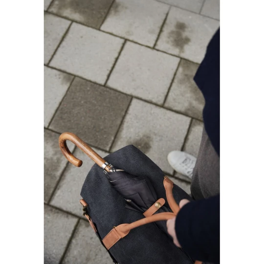 Parasol 23