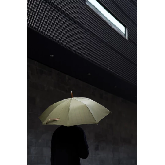 Parasol 23