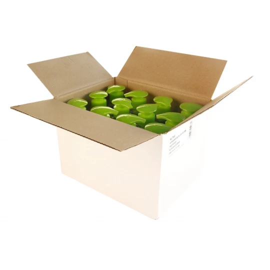 Żel antybakteryjny 250ml Nutka - biały - (GM-SG9301-25)