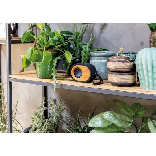 Głośnik bezprzewodowy 5W Bamboo X (P328.009)