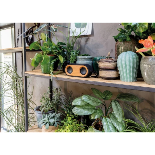 Podwójny głośnik bezprzewodowy 10W Bamboo X (P328.119)