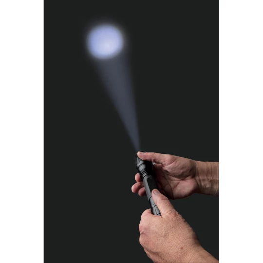 Latarka CREE 10W (P513.431)