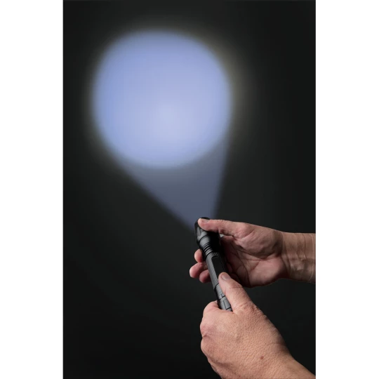 Latarka CREE 10W (P513.431)