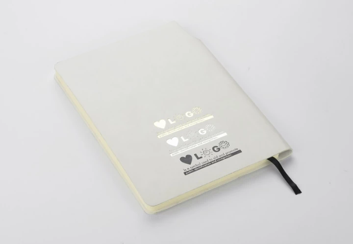 Notes MOLI A5 (GA-17678-01)