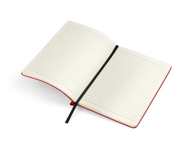 Notes MOLI A5 (GA-17678-04)