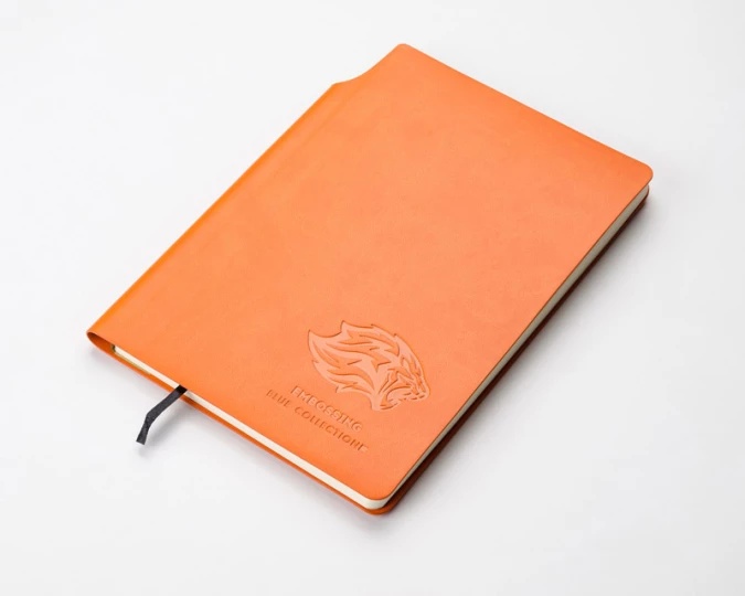 Notes MOLI A5 (GA-17678-07)