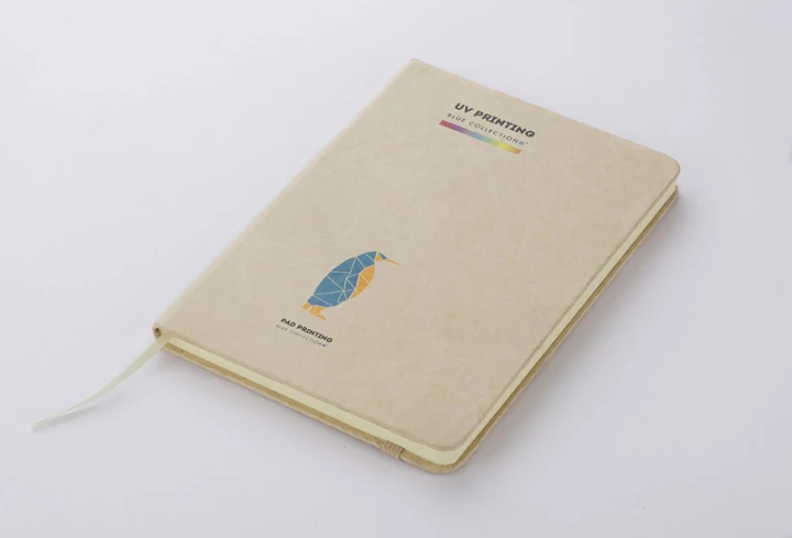 Notes TERE (GA-17859-17)