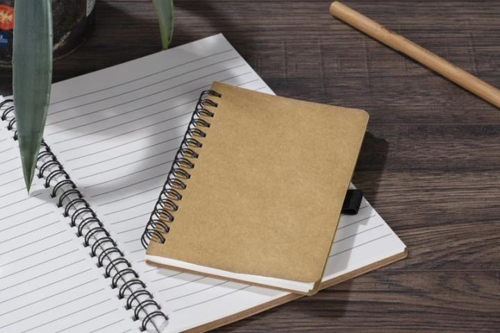 Notes BATO A6 (GA-17877)