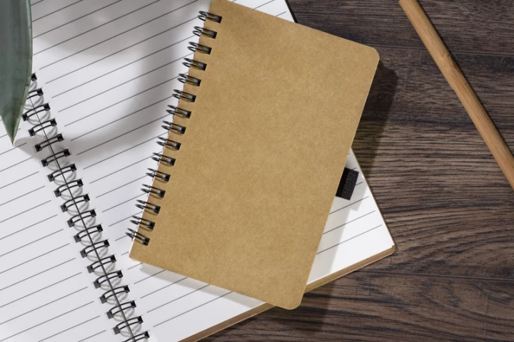 Notes BATO A6 (GA-17877)