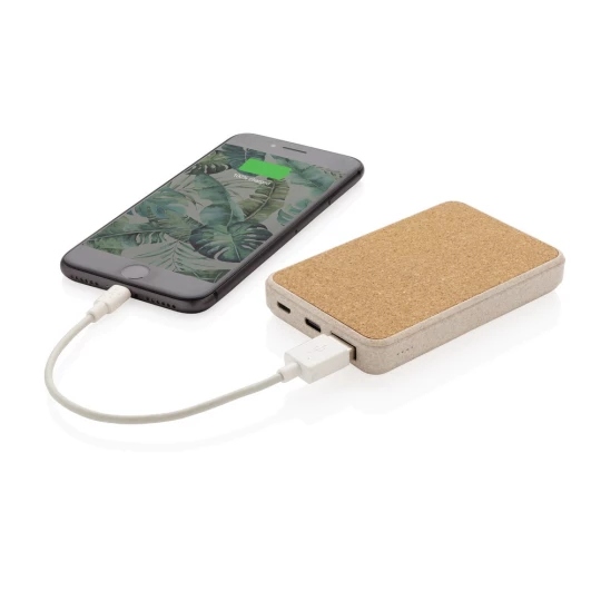 Power bank 5000 mAh (P322.229)