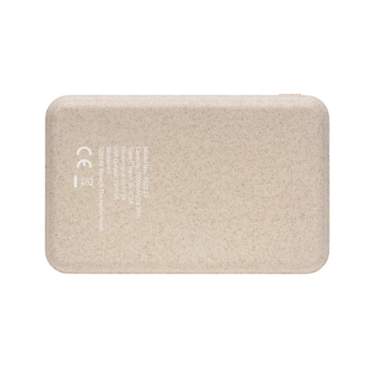 Power bank 5000 mAh (P322.229)