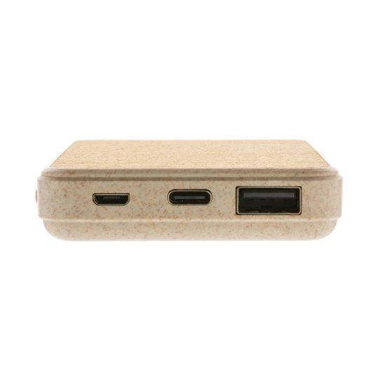 Power bank 5000 mAh (P322.229)