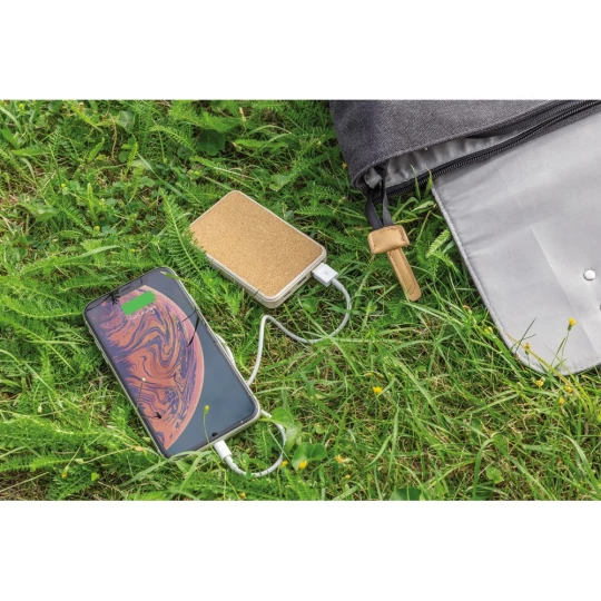 Power bank 5000 mAh (P322.229)