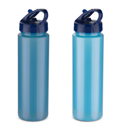 Bidon do wody z wkładem chłodzącym CHANGE 700 ml (GA-16221-03)