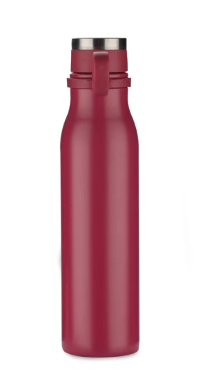 Butelka GRAVI 480 ml (GA-16224-21)