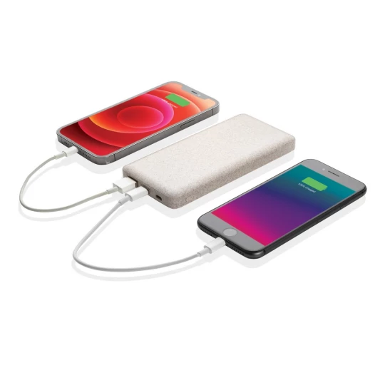 Power bank 10000 mAh (P322.299)