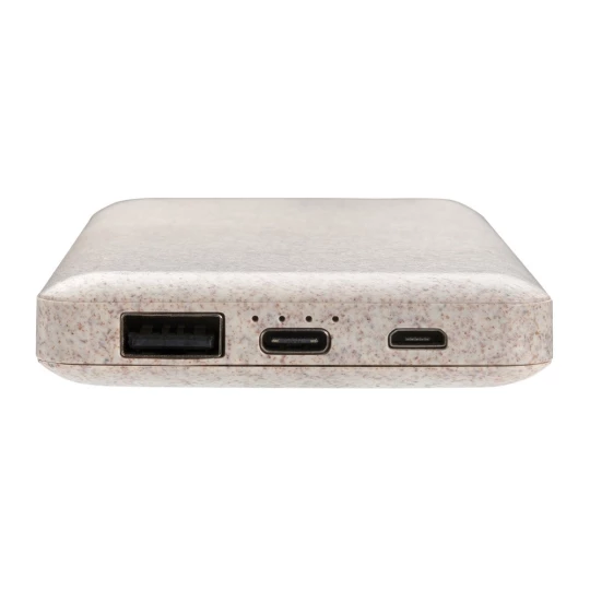 Power bank 10000 mAh (P322.299)
