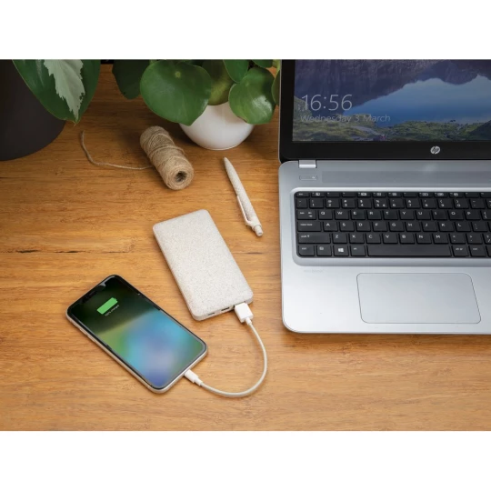 Power bank 10000 mAh (P322.299)