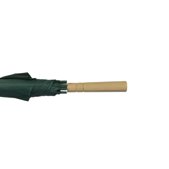 Parasol automatyczny (V4221-06)