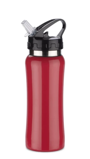 Bidon stalowy PATRO 600 ml (GA-16226-04)