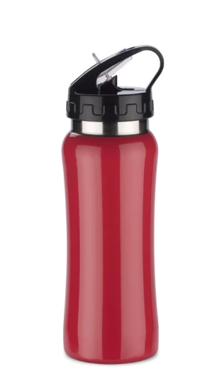 Bidon stalowy PATRO 600 ml (GA-16226-04)
