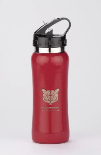 Bidon stalowy PATRO 600 ml (GA-16226-04)